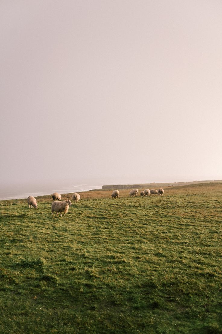 4.2 Paysage